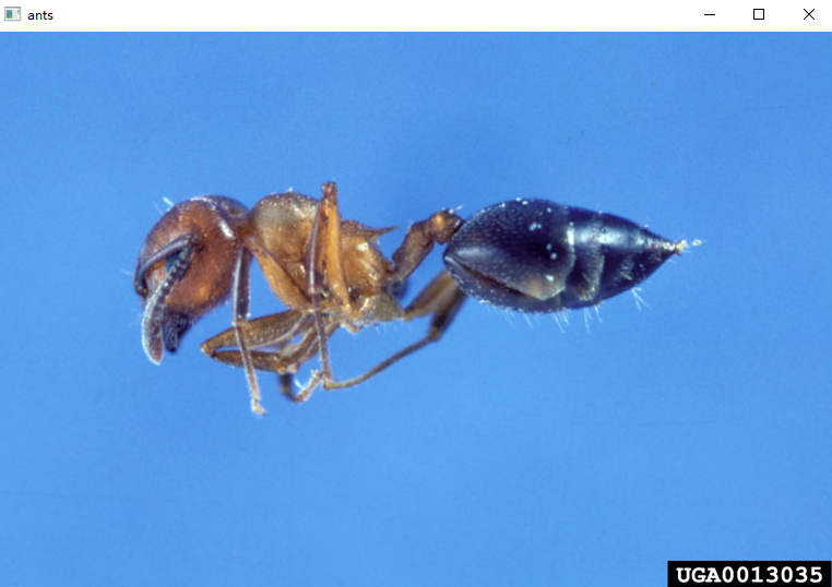 image-20220730220543405